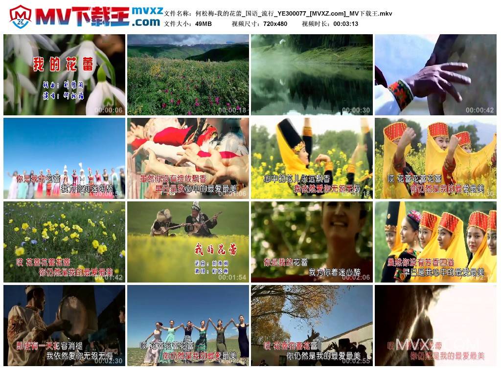 何松梅-我的花蕾_国语_流行_YE300077